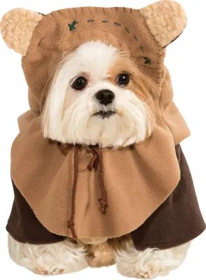 Produktbild von Star Wars Ewok Hundegröße: L