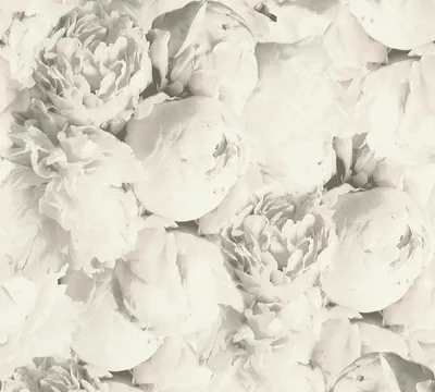 Produktbild von A.S. Création Rosentapete Neue Bude 2.0 Edition 2 florale Tapete Mia Vliestapete beige creme grau 10,05 m x 0,53 m
