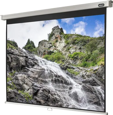 Produktbild von Celexon , Rollo Professional, Leinwand, 4:3 manuell, 220x165cm, 4:3, Schwarz, Weiß