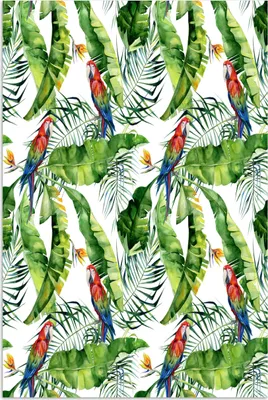 Produktbild von MuchoWow® Poster Blumen - Blätter - Papagei 80x120 cm - Papierdruck