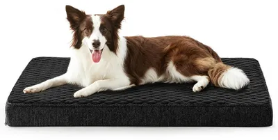 Produktbild von Orthopädisches Hundebett L 89x56x8cm Schwarz Waschbar Rutschfest