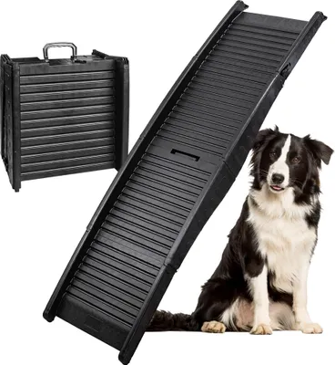 Hund mit hunderampe