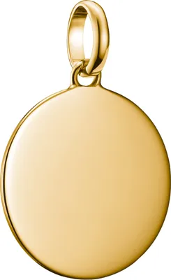 Produktbild von Thomas Sabo Charm Club Connect CC1273-413-39 Charm Anhänger