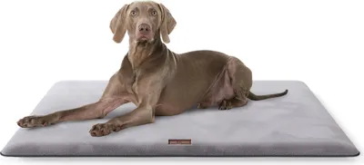 Produktbild von Knuffelwuff Kuschelige Hundematte Sunport aus weichem Kaninchen Fellimitat 100x70cm