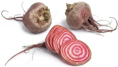 Produktbild von Rote Bete "Chioggia" - 40 Samen