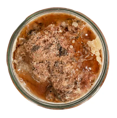 Produktbild von Dehner Natura Premium Igelfutter, Power-Futter aus Fleisch / Insekten / Ei, Nassfutter für Igel, proteinreich / artgerecht, 6 x 190 g (1.14 kg)