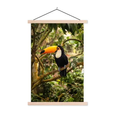 Produktbild von MuchoWow® Textilposter Vogel - Tukan - Dschungel - Natur - Tropisch 120x180 cm mit holzfarbenen Rahmen - Textil-Plakat