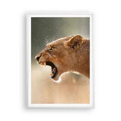 Produktbild von Gerahmtes Poster - Weißer Rahmen - Löwe Löwin Reißzähne - 70x100 cm - Wand Bild - Wanddeko - Wandbilder - Kunstposter - Wandposter - Bilderrahmen - Bilder - Kunstdruck - Wandbild - P2WPA70x100-4137