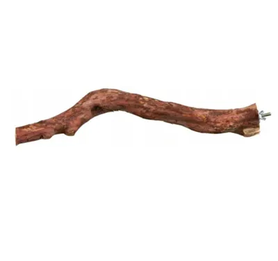 Produktbild von Naturzweig Für Kleine Und Mittelgroße Papageien – Paritte S/M, 25 Cm, Holz