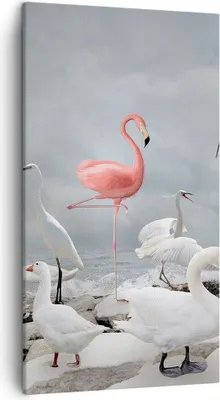 Produktbild von Bild auf Leinwand - Leinwandbild - Einteilig - Flamingo Schwan Fantasie - 45x80cm - Wand Bild - Wanddeko - Wandbilder - Leinwanddruck - Bilder - Wanddekoration - Leinwand bilder - PA45x80-4929