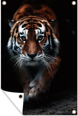 Produktbild von MuchoWow® 40x60 cm Outdoor-Poster Gartendeko Sichtschutz Garten Poster für den Garten  Tiere - Tiger - Schwarz - Wild - Porträt