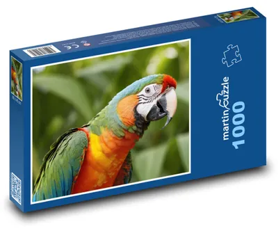 Zdjęcie produktu dla Puzzle 1000 Kolorowa papuga w dżungli - martinpuzzle