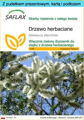 Zdjęcie produktu dla SAFLAX - Zestaw prezentowy - Drzewo herbaciane - 400 Nasiona - Z pudełkiem upominkowym, etykietą wysyłkową, kartą podarunkową i podłożem uprawowym - Melaleuca alternifolia