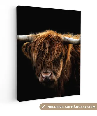 Produktbild von Wanddeko 60x80 cm - Schottisches Hochlandrind - Hörner - Schwarz - Tiere - Natur - Wildtiere - Kuh, Deko Wohnzimmer, Leinwand Bilder