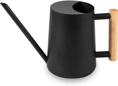 Obrázek produktu pro Kovová konvička – 1000 ml – dlouhá hubice – malá moderní konvička – pro pokojové rostliny, bonsaje, květiny a dekorace – černá