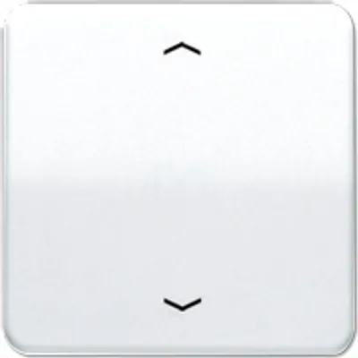 Image de Jung CD 590 P WW (CD590PWW)