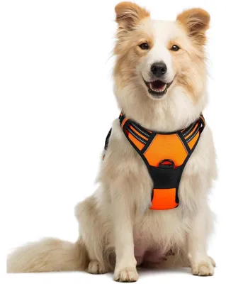 Produktbild von Hundegeschirr Anti Zug Orange Größe M