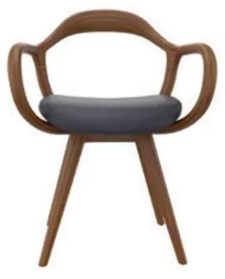 Image de Chaises Salon Salle à manger Fauteuil en bois avec accoudoirs Salle à manger Meubles