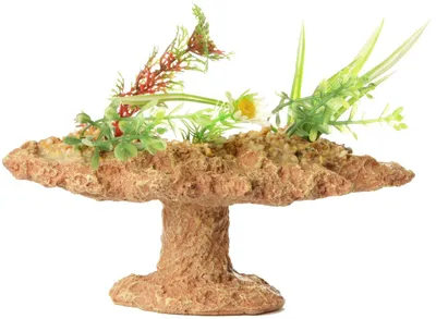 Aquariendeko Stein 14 x 6 x 8 cm