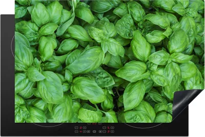 Produktbild von KitchenYeah© Herdabdeckplatte Nahaufnahme von Basilikumpflanzen , 81x52cm, Küche Deko, Glaskeramikkochfeld Herdabdeckung, Abdeckplatte fùr Kochfeld