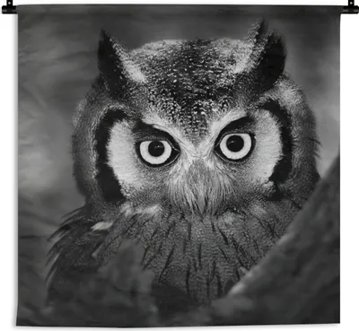 Produktbild von MuchoWow® Wandteppich Wandbehang Vogel - Eule - Porträt - Schwarz - Weiß 60x60 cm Tapisserie Dekoration Wandtuch - Dekorationen - Wand Decke