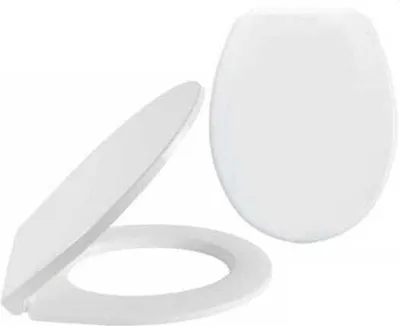 A white toilet seat and lid are shown against a white background.