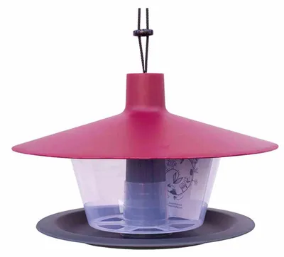 Image de Mangeoire pour oiseaux 1606970194 plastique Finch Ø28xH18 cm bordeaux