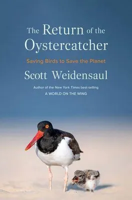 Obrázek produktu pro The Return of the Oystercatcher