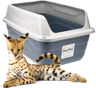 Produktbild von XXL Extra hohe Katzentoilette offene Katzenklo mit hohem Rand Jumbo Schalentoilette groß ohne Deckel hygenisch Katzen WC