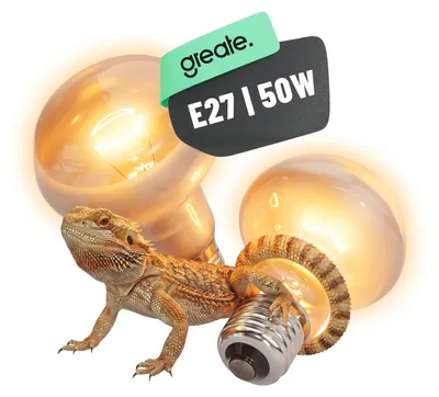 Produktbild von greate UVA Terrarium Lampe E27 50W - 2er Pack Reptilien Wärmelampe - Reptilien Lampe