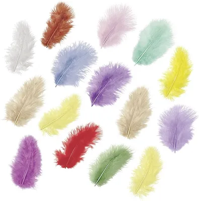 Produktbild von Marabufedern ca. 5cm bunt VE=10x15 Stück