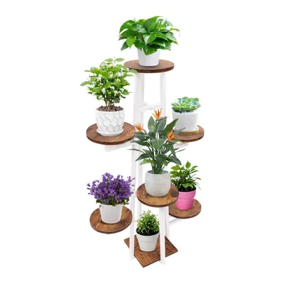 A multi-tiered plant stand with various potted plants displayed on each level, set against a white background.