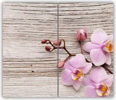 Produktbild von Tulup Glas-Herdabdeckplatte - 2x30x52cm - Glaskeramikkochfeld-Abdeckung Spritzschutz Zweiteilig Orchidee auf Holz