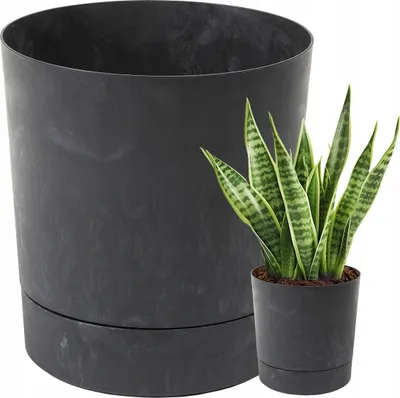 Zdjęcie produktu dla Doniczka Lamela | Aura | ze spodkiem | czarny beton | 17,5 cm
