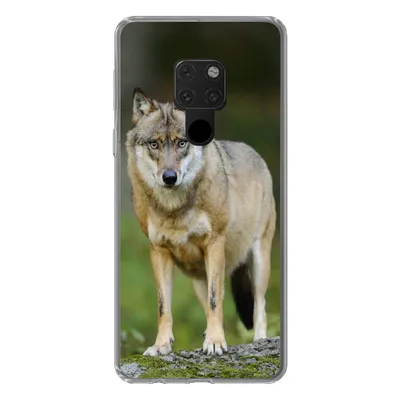 Produktbild von MuchoWow® Handyhülle Schutzhülle Hülle für Huawei P40 Lite Wolf - Asien - Pflanzen Silikon Softcase Handy Hülle - Handy