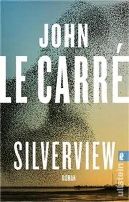 Immagine prodotto di Silverview