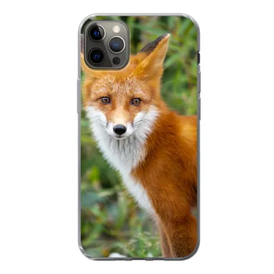 Produktbild von MuchoWow® Handyhülle Schutzhülle Hülle für iPhone 12 Pro Max Fuchs - Orange - Wald Silikon Softcase Handy Hülle - Hartschale