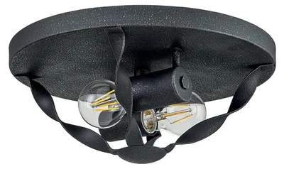 Produktbild von Deckenleuchte, 2-Flammig, grau, Stahl, D 33 cm