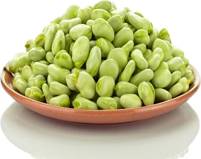 Produktbild von Polnische frische Ackerbohnen ca. 1 kg