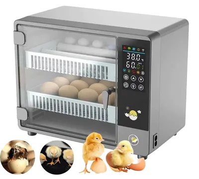 Produktbild von Eierbrüter, 24 Eier Kapazität, 55W Leistung, 220V Spannung, Touchscreen-Steuerung, verstellbare Eierpositionierung