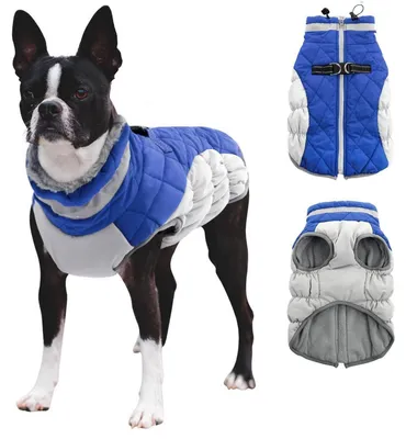Immagine prodotto di Cappotto per cani con pettorina, colore blu, taglia L