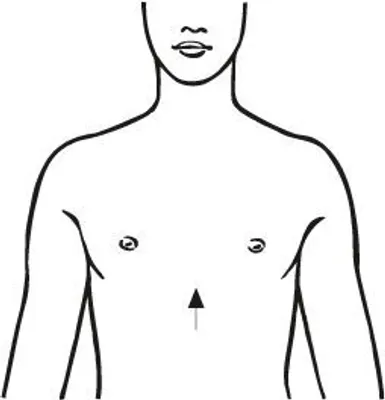Produktbild von Bort Clavicula-Bandage weiß>>>>Gr. L