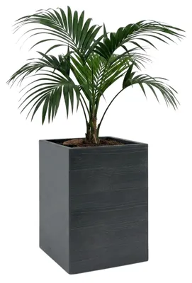 Produktbild von HowHomely Pflanztopf Pflanzgefäß H60x40x40 cm Blumenkübel auf Rädern anthrazit