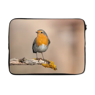 Produktbild von MuchoWow® Laptop Hülle 13 Zoll Rotkehlchen - Vogel - Zweig - Tiere Laptoptasche - Laptophülle - Sleeve - Rundumschutz