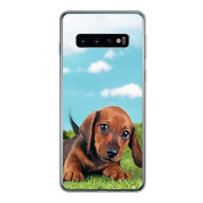 Produktbild von MuchoWow® Handyhülle Schutzhülle Hülle für Samsung Galaxy S10 Schöner Himmel über einem niedlichen Dackelwelpen Silikon Softcase Handy Hülle - Handytasche