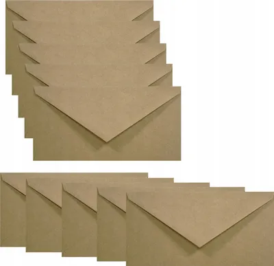 Produktbild von Dl Geschenkumschläge 10 Stück Eko Craft 110X220