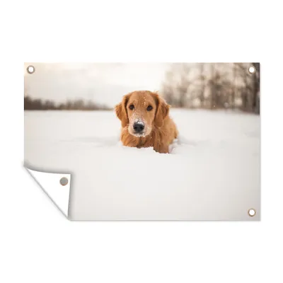 Obrázek produktu pro MuchoWow® Zahradní plakáty - Pes - Sníh - Zima - 120x180 cm - Zahradní dekorace