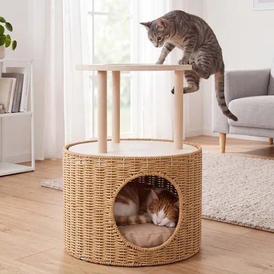 Immagine prodotto di Cuccia per gatti HWC-Q59, rifugio per gatti con area giochi e piattaforma, cestino/arredamento per gatti in legno 50x39x39 cm, colore naturale, cuscino beige, Immagine generata dall'IA