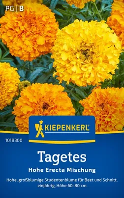 Produktbild von Kiepenkerl Tagetessamen Hohe Erecta 50 Pflanzen