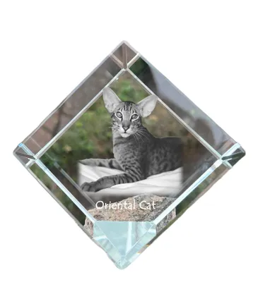 Produktbild von Art-Dog Briefbeschwerer Orientalische Katze